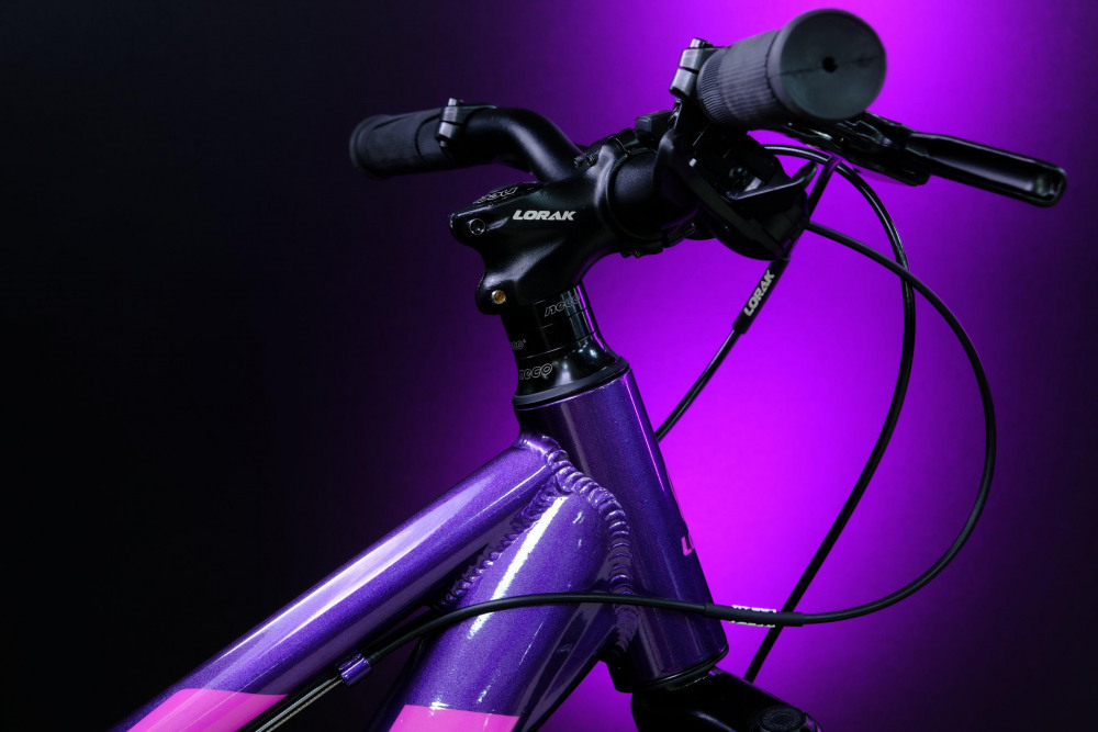 LORAK SHARK 24 BLACK Фиолетовый/Розовый