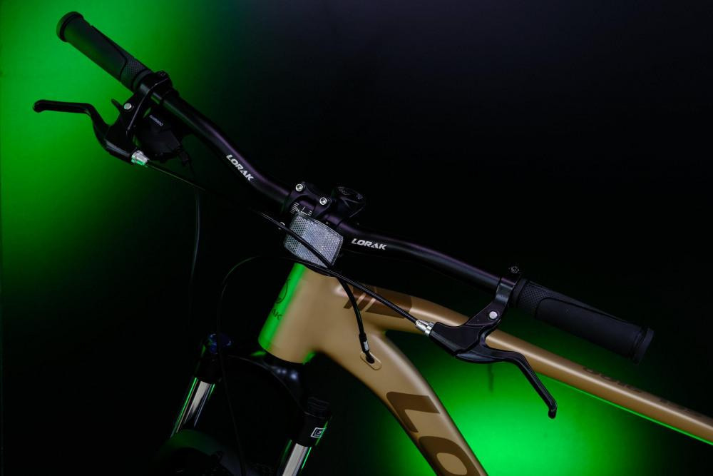 LORAK Sel 9100 Матовый Коричневый 22р (на рост 183-193)